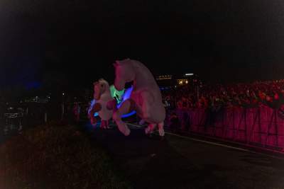 Rewelacyjny pokaz pod Wawelem, smokom towarzyszył królewski orszak - zdjęcie 35