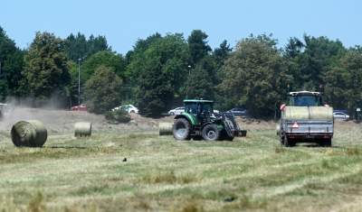W Krakowie sezon rolniczy w pełni, na największej łące w mieście praca wre - zdjęcie 23