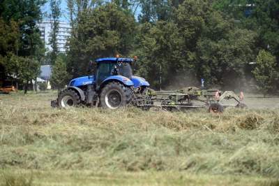 W Krakowie sezon rolniczy w pełni, na największej łące w mieście praca wre - zdjęcie 8