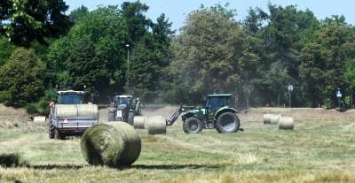 W Krakowie sezon rolniczy w pełni, na największej łące w mieście praca wre - zdjęcie 28