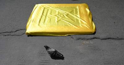 Legenda światowego rocka w Krakowie: Bryan Adams w Alei Gwiazd - zdjęcie 2