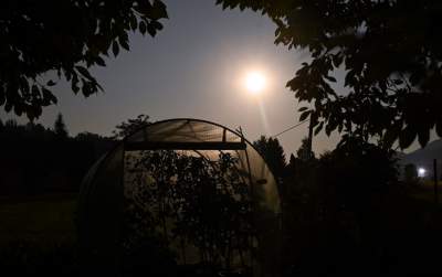 Zbożowy Księżyc zachwycił obserwatorów. Większy i jaśniejszy niż zwykle - zdjęcie 8