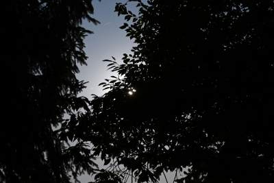 Zbożowy Księżyc zachwycił obserwatorów. Większy i jaśniejszy niż zwykle - zdjęcie 6