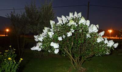 Zbożowy Księżyc zachwycił obserwatorów. Większy i jaśniejszy niż zwykle - zdjęcie 13