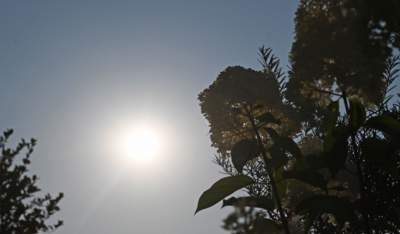 Zbożowy Księżyc zachwycił obserwatorów. Większy i jaśniejszy niż zwykle - zdjęcie 9