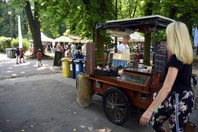 Super miejsce na piknik w mieście. Tak będzie do końca wakacji - zdjęcie 15