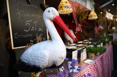 Czym zaskakuje Festiwal Pierogów? Ceny podobne, jak przed rokiem - zdjęcie 14