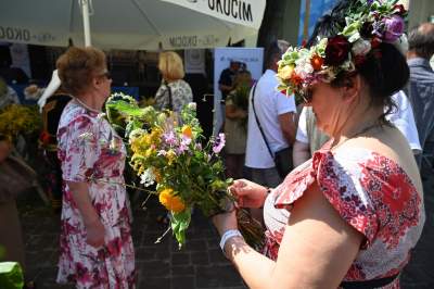 Tradycja trzyma się mocno:  Święto Matki Boskiej Zielnej w Krakowie - zdjęcie 25