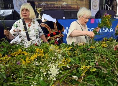 Tradycja trzyma się mocno:  Święto Matki Boskiej Zielnej w Krakowie - zdjęcie 6
