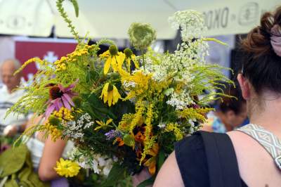 Tradycja trzyma się mocno:  Święto Matki Boskiej Zielnej w Krakowie - zdjęcie 11