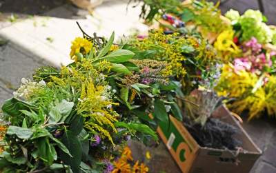 Tradycja trzyma się mocno:  Święto Matki Boskiej Zielnej w Krakowie - zdjęcie 21