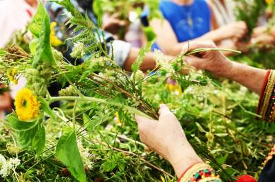 Tradycja trzyma się mocno:  Święto Matki Boskiej Zielnej w Krakowie - zdjęcie 17