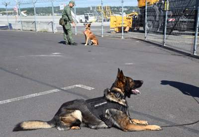 Wyjątkowi pracownicy Kraków Airport, do zadań specjalnych... - zdjęcie 32
