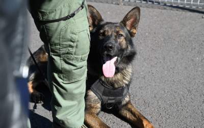 Wyjątkowi pracownicy Kraków Airport, do zadań specjalnych... - zdjęcie 4