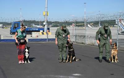 Wyjątkowi pracownicy Kraków Airport, do zadań specjalnych... - zdjęcie 23