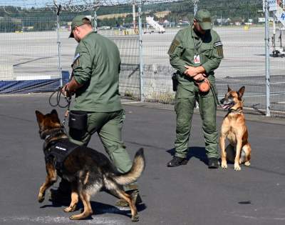 Wyjątkowi pracownicy Kraków Airport, do zadań specjalnych... - zdjęcie 22