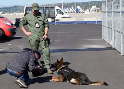 Wyjątkowi pracownicy Kraków Airport, do zadań specjalnych... - zdjęcie 1
