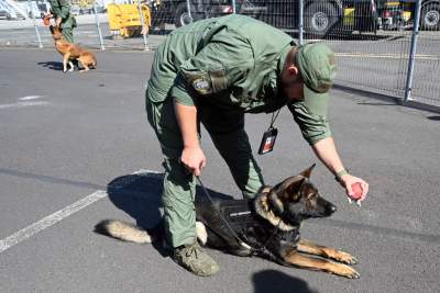 Wyjątkowi pracownicy Kraków Airport, do zadań specjalnych... - zdjęcie 29