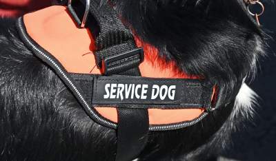 Wyjątkowi pracownicy Kraków Airport, do zadań specjalnych... - zdjęcie 25