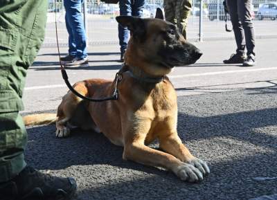 Wyjątkowi pracownicy Kraków Airport, do zadań specjalnych... - zdjęcie 5