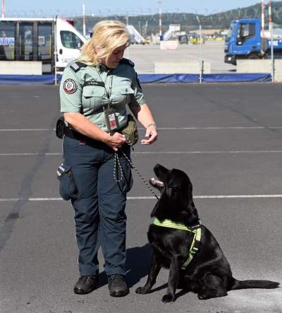 Wyjątkowi pracownicy Kraków Airport, do zadań specjalnych... - zdjęcie 7