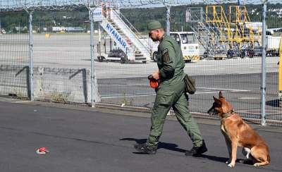 Wyjątkowi pracownicy Kraków Airport, do zadań specjalnych... - zdjęcie 30