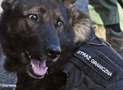 Wyjątkowi pracownicy Kraków Airport, do zadań specjalnych... - zdjęcie 8