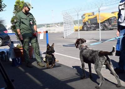 Wyjątkowi pracownicy Kraków Airport, do zadań specjalnych... - zdjęcie 21