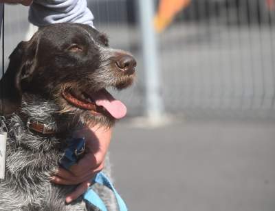 Wyjątkowi pracownicy Kraków Airport, do zadań specjalnych... - zdjęcie 17