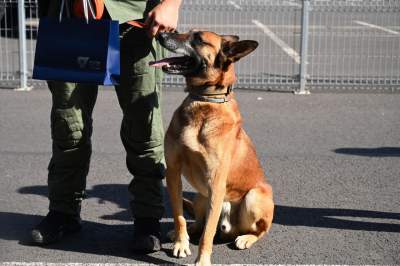 Wyjątkowi pracownicy Kraków Airport, do zadań specjalnych... - zdjęcie 15