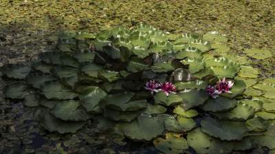 Cudowne miejsce nie tylko na weekend. Piękne zdjęcia - zdjęcie 8