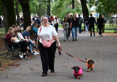 Niesamowity Marsz Jamników przeszedł przez centrum Krakowa - zdjęcie 6