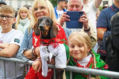 Niesamowity Marsz Jamników przeszedł przez centrum Krakowa - zdjęcie 8
