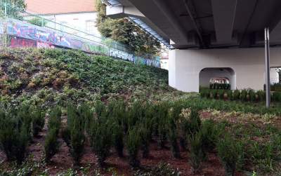 Najbardziej oryginalny park w Polsce otwarty. Krakowianie zachwyceni - zdjęcie 30