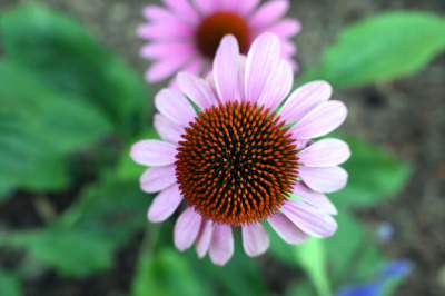 Najbardziej oryginalny park w Polsce otwarty. Krakowianie zachwyceni - zdjęcie 17