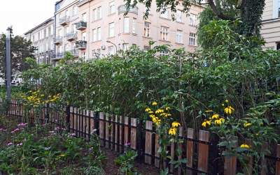 Najbardziej oryginalny park w Polsce otwarty. Krakowianie zachwyceni - zdjęcie 21