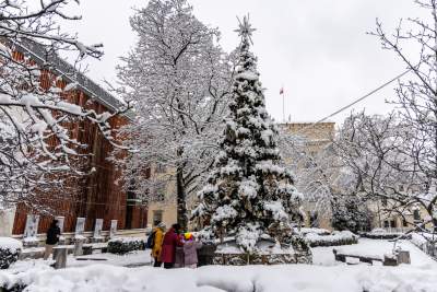 Zima zagościła w Krakowie, miasto wygląda bajecznie! - zdjęcie 9