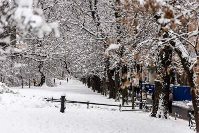 Zima zagościła w Krakowie, miasto wygląda bajecznie! - zdjęcie 1