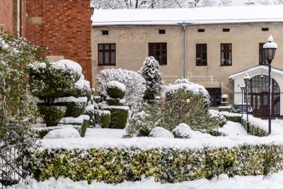 Zima zagościła w Krakowie, miasto wygląda bajecznie! - zdjęcie 4