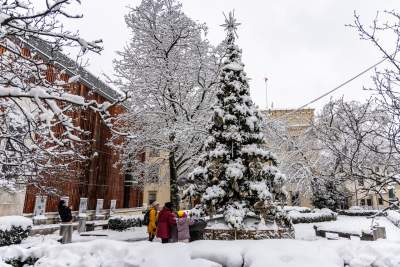 Zima zagościła w Krakowie, miasto wygląda bajecznie! - zdjęcie 10