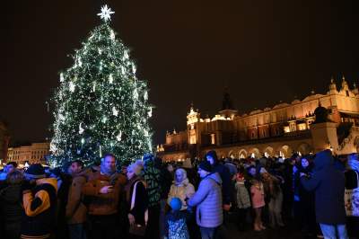 Choinka na Rynku Głównym już w pełnym blasku - zdjęcie 21