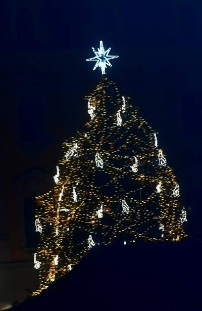 Choinka na Rynku Głównym już w pełnym blasku - zdjęcie 13