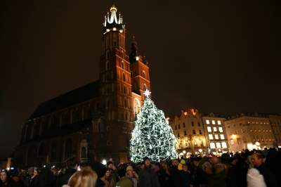 Choinka na Rynku Głównym już w pełnym blasku - zdjęcie 23