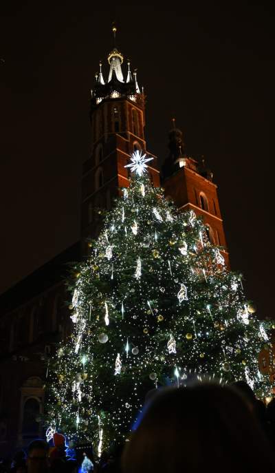 Choinka na Rynku Głównym już w pełnym blasku - zdjęcie 19