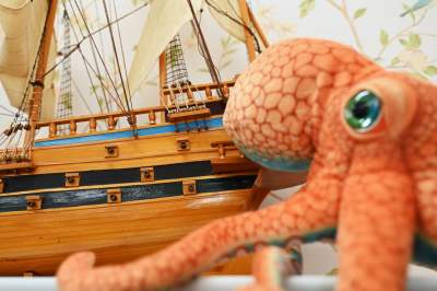 Niesamowite modele żaglowców, do oglądania w Krakowie - zdjęcie 5