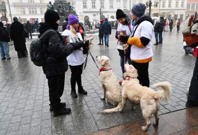 Tak grała WOŚP w Krakowie, najlepsze emocje - zdjęcie 11
