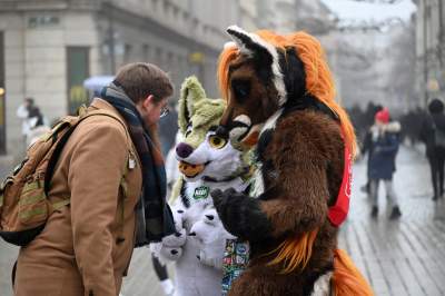 Tak grała WOŚP w Krakowie, najlepsze emocje - zdjęcie 4