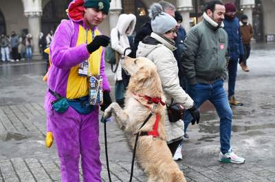 Tak grała WOŚP w Krakowie, najlepsze emocje - zdjęcie 15