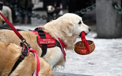 Tak grała WOŚP w Krakowie, najlepsze emocje - zdjęcie 21