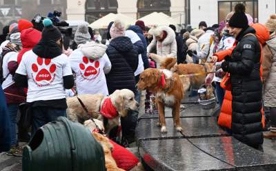 Tak grała WOŚP w Krakowie, najlepsze emocje - zdjęcie 10